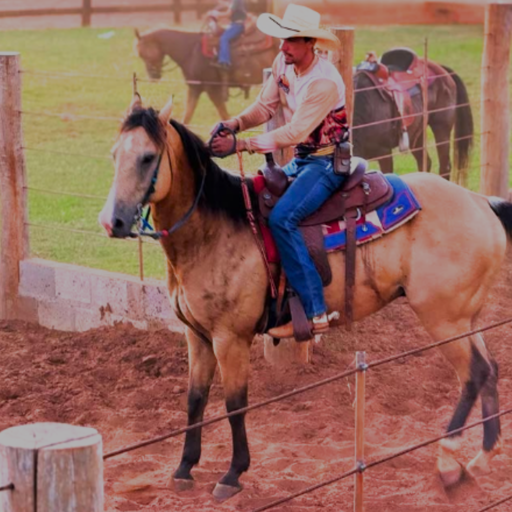 rancho_linzmeyer_rancholinzmeyer